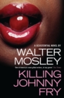 Killing Johnny Fry : A Sexistential Novel - eBook