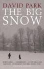 The Big Snow - eBook