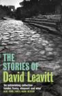 The Stories of David Leavitt - eBook