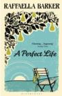A Perfect Life - eBook
