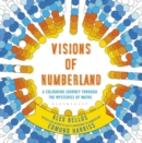 Visions of Numberland : A Colouring Journey Through the Mysteries of Maths - Book