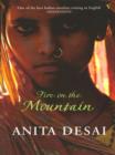 Fire On The Mountain - eBook