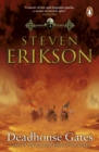 Aspirin : The Extraordinary Story of a Wonder Drug - Steven Erikson