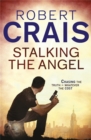 Stalking The Angel - Book