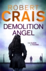 Demolition Angel - Book
