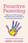 Proactive Parenting : Help your child conquer self-destructive behaviours and build self-esteem - eBook