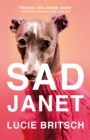 Sad Janet : A darkly hilarious novel about finding happiness in time for Christmas - eBook