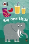 Early Learning: Big and Little - Book
