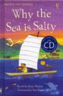 Why the sea is salty - Book