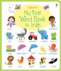 My First Irish Word Book - Book