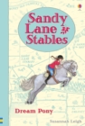 Sandy Lane Stables Dream Pony - Book