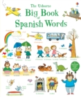 Big Book of Spanish Words - Book