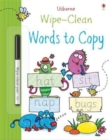 Wipe-Clean Words to Copy - Book