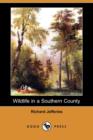 Wildlife in a Southern County (Dodo Press) - Book