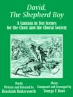 David, the Shepherd Boy : A Cantata in Ten Scenes for the Choir and the Choral Society - Book