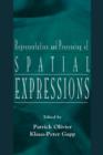Representation and Processing of Spatial Expressions - eBook