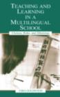 Teaching and Learning in a Multilingual School : Choices, Risks, and Dilemmas - eBook