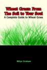 Wheat Grass : From the Soil to Your Soul: a Complete Guide to Wheat Grass - Book