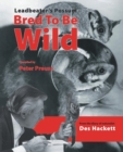 Leadbetter's Possum : Bred to be Wild - From the Diary of Naturalist Des Hackett - Book