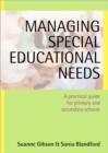 Managing Special Educational Needs : A Practical Guide for Primary and Secondary Schools - Book