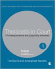 Therapists in Court : Providing Evidence and Supporting Witnesses - Book