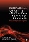 International Social Work : Issues, Strategies, and Programs - Book
