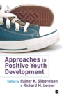 Approaches to Positive Youth Development - Book