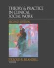 Theory &  Practice in Clinical Social Work - Book
