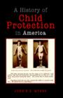 Child Protection in America - Book