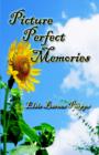 Picture Perfect Memories - Book