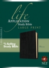 Life Application Study Bible - Book
