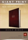 NLT Holy Bible, Giant Print - Book