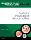 Posterior Pelvic Floor Abnormalities - Book