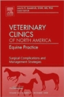 Surgical Complications and Management Strategies, An issue of Veterinary Clinics: Equine Practice : Volume 24-3 - Book