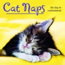 Cat Naps : The Key to Contentment - Book