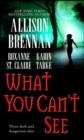 What You Can't See - eBook