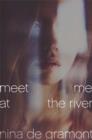 Meet Me at the River - eBook