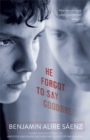 He Forgot to Say Goodbye - Book