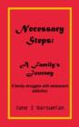 Necessary Steps : A Family's Journey: A Family Struggles with Adolescent Addiction - Book