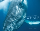 Beautiful Whale - Book