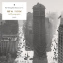 New York in Photographs - Book