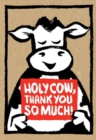 Holy Cow: Thank You So Much! (Thank You Cards) - Book