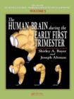 The Human Brain During the Early First Trimester - eBook
