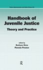 Handbook of Juvenile Justice : Theory and Practice - eBook