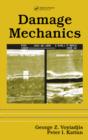 Damage Mechanics - eBook