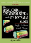 The Spinal Cord from Gestational Week 4 to the 4th Postnatal Month - eBook