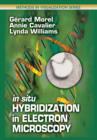 In Situ Hybridization in Electron Microscopy - eBook