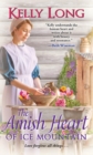 The Amish Heart of Ice Mountain - eBook