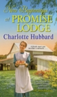 New Beginnings at Promise Lodge - eBook