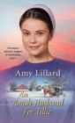 Amish Husband for Tillie - Book